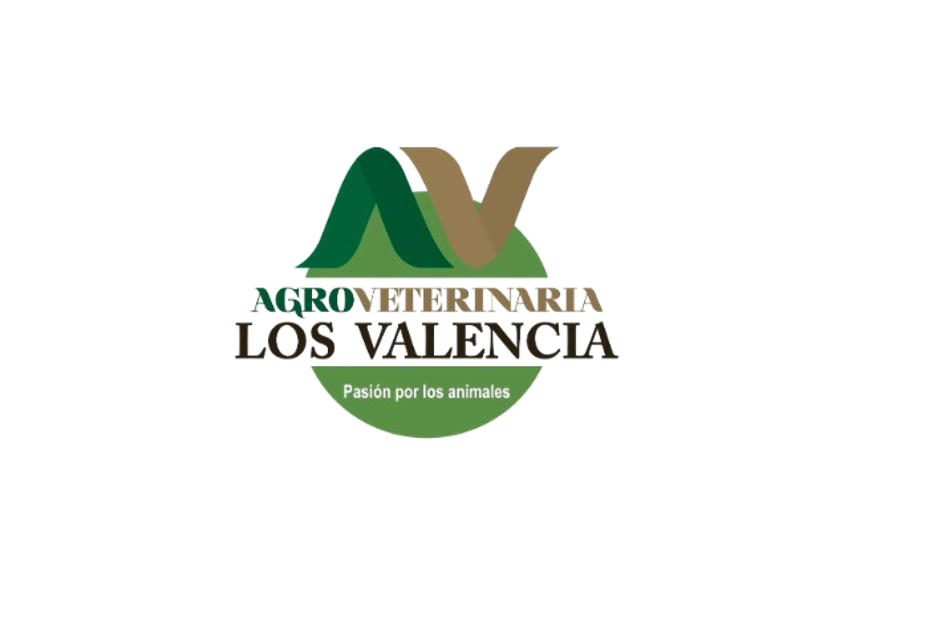 CIBERINNOVA